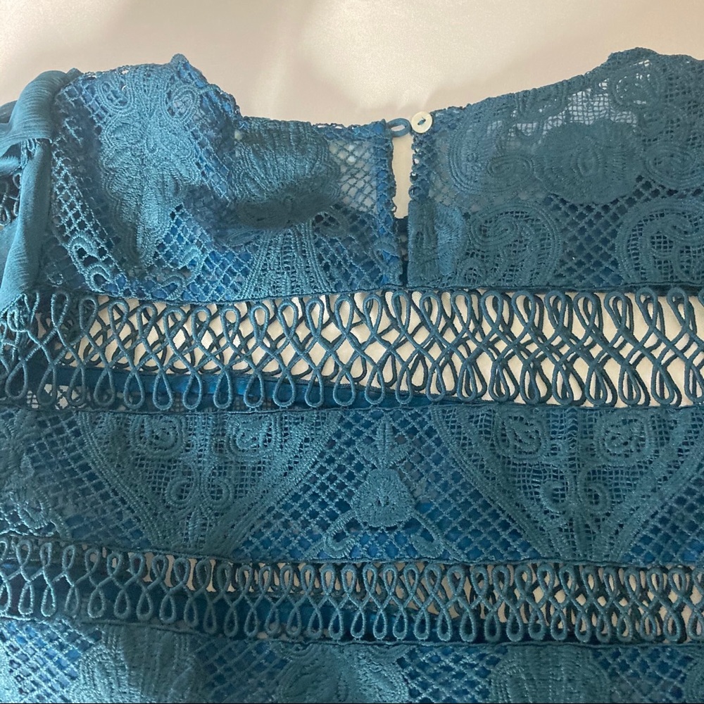Eri + Ari Teal Chalene Lace Skater Sheer Embroidered Dress Long Sleeve - Picture 6 of 14